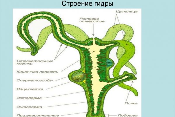 Kraken маркетплейс kr2web in